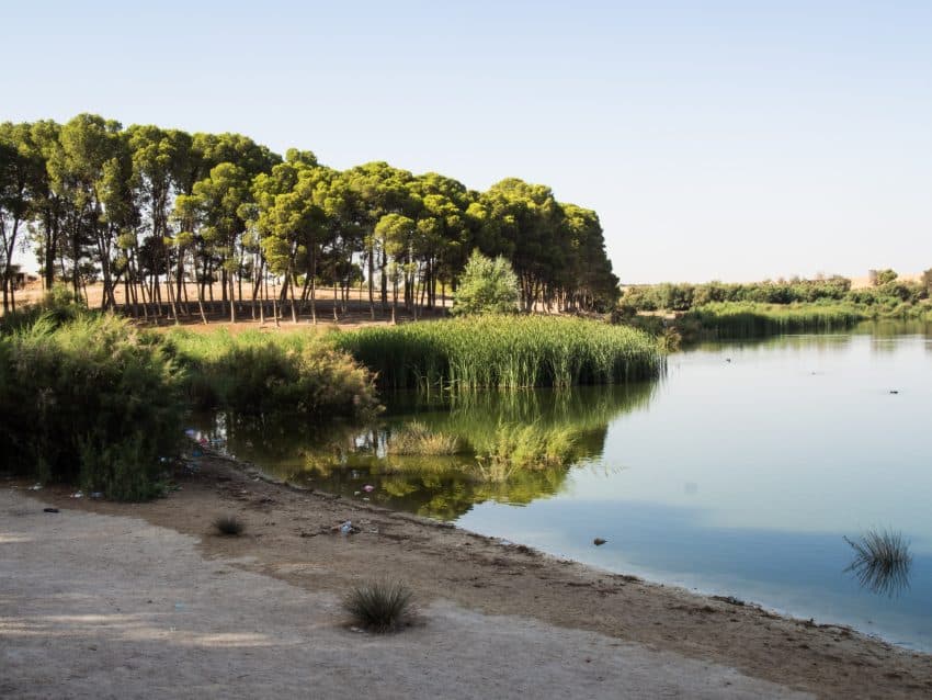 Lacul de cerneala