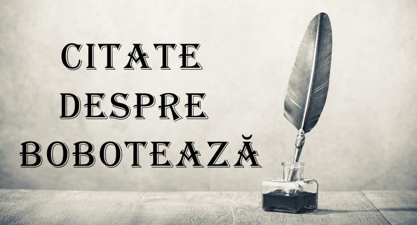 Citate despre Bobotează