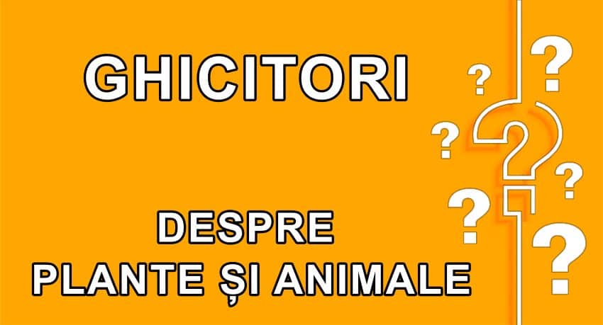 Ghicitori despre plante si animale