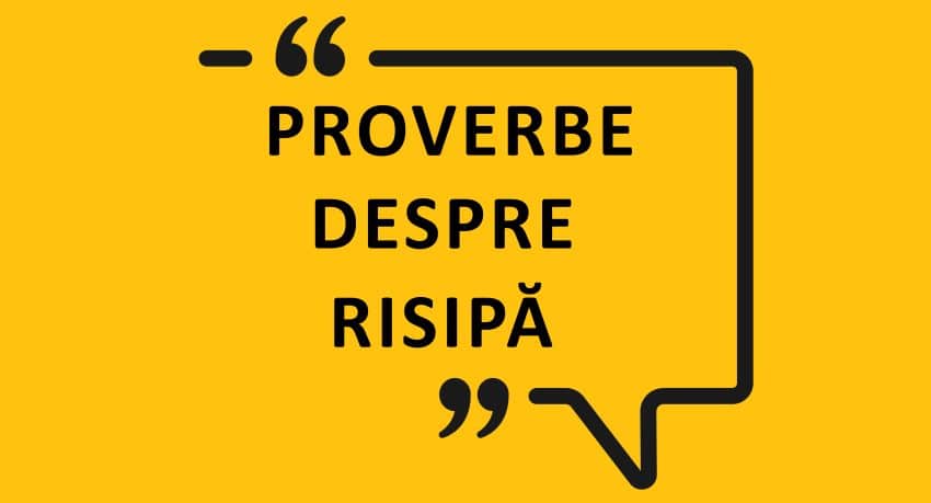 Proverbe despre risipa