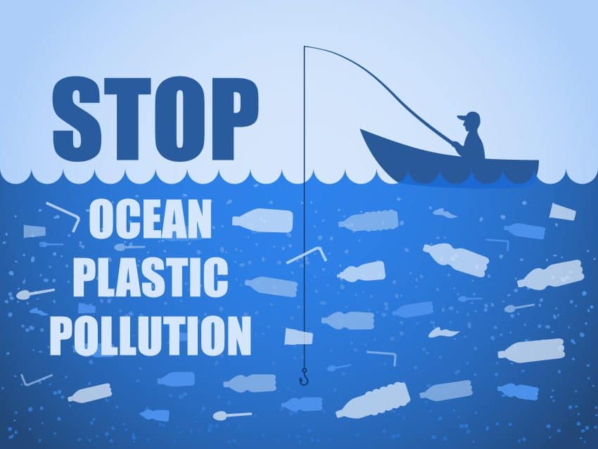 Plasticul afectează sănătatea animalelor marine