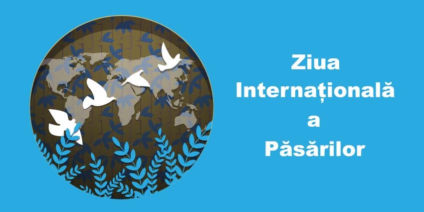 1 aprilie - Ziua Internațională a Păsărilor. Curiozități